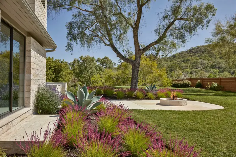 Backyard in Westlake Hills, after
